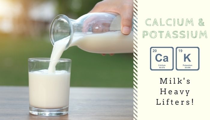 Calcium and Potassium Milks Heavy Lifters
