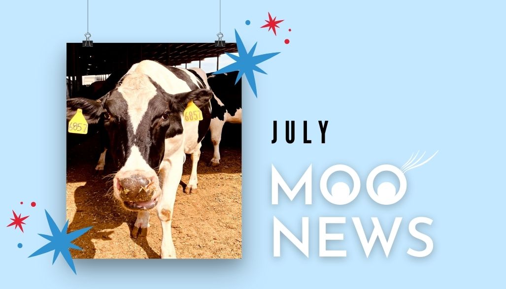 July Moo News
