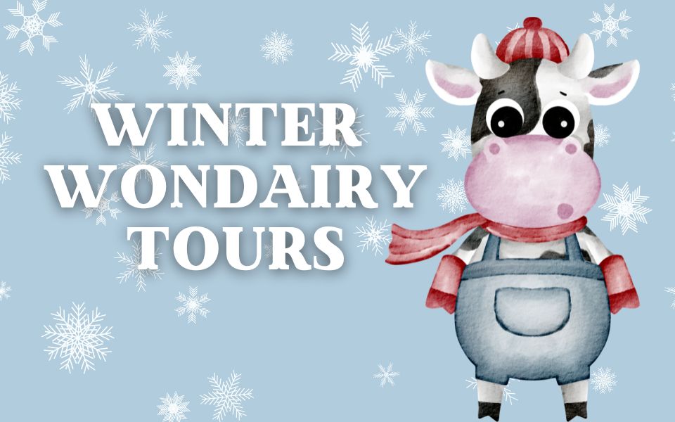 Winter WonDairy Tours - Morning Fresh Dairy